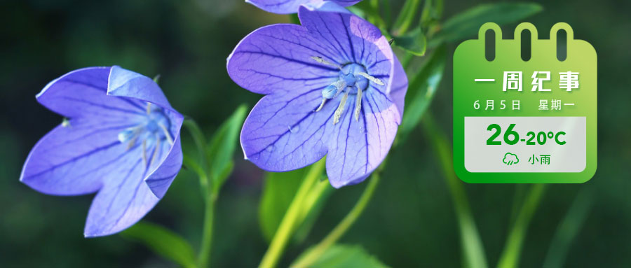 bf60747d0de16a8d845a0d90c792f4c.jpg bf60747d0de16a8d845a0d90c792f4c.jpg