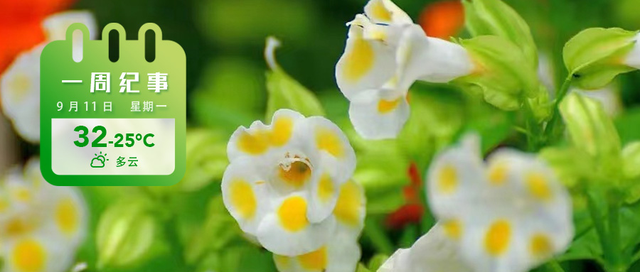 204597d1a635a7ef43d44158a4a0d3a.jpg 204597d1a635a7ef43d44158a4a0d3a.jpg