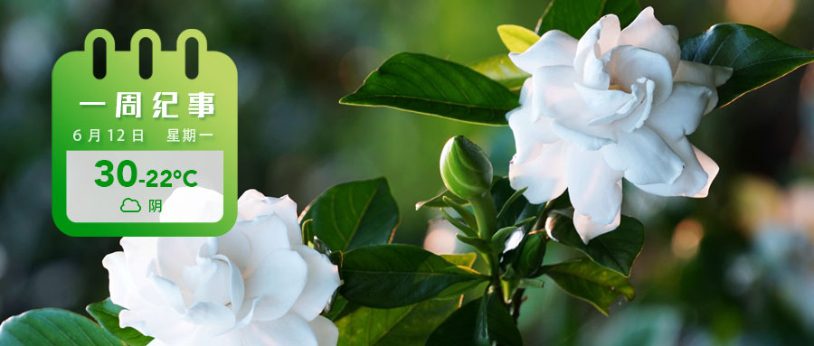 f1ec2da0b84ce15795294ef8fe5e1f6.jpg f1ec2da0b84ce15795294ef8fe5e1f6.jpg