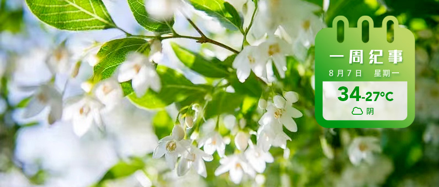 3bd4ee714c122ed1c7799977c796a5c.jpg 3bd4ee714c122ed1c7799977c796a5c.jpg