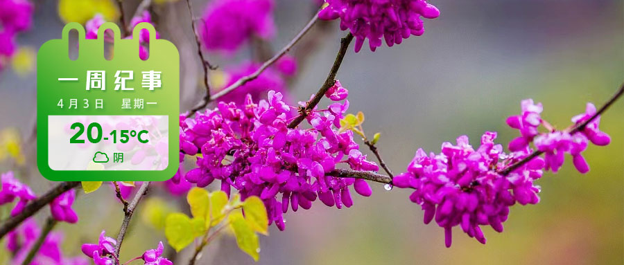 95c887a8fa10ced3bafdd7d332642b0.jpg 95c887a8fa10ced3bafdd7d332642b0.jpg