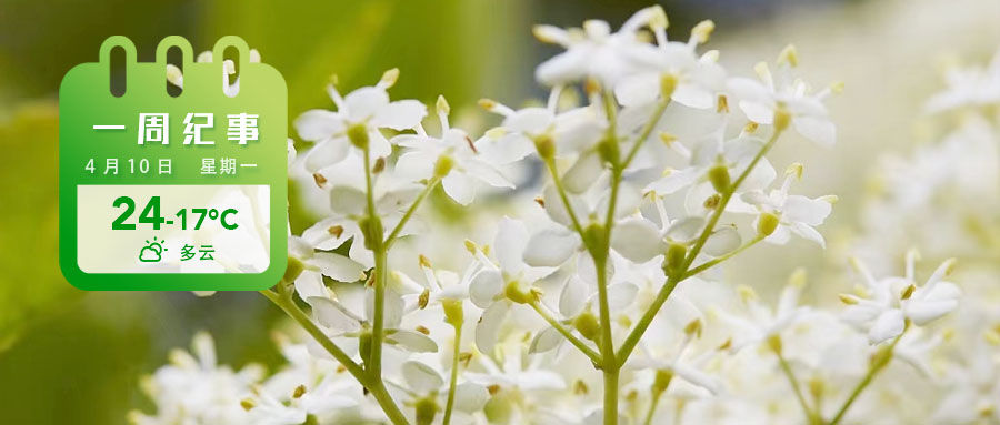 254be689b1a4a6ff663064307d1e241.jpg 254be689b1a4a6ff663064307d1e241.jpg