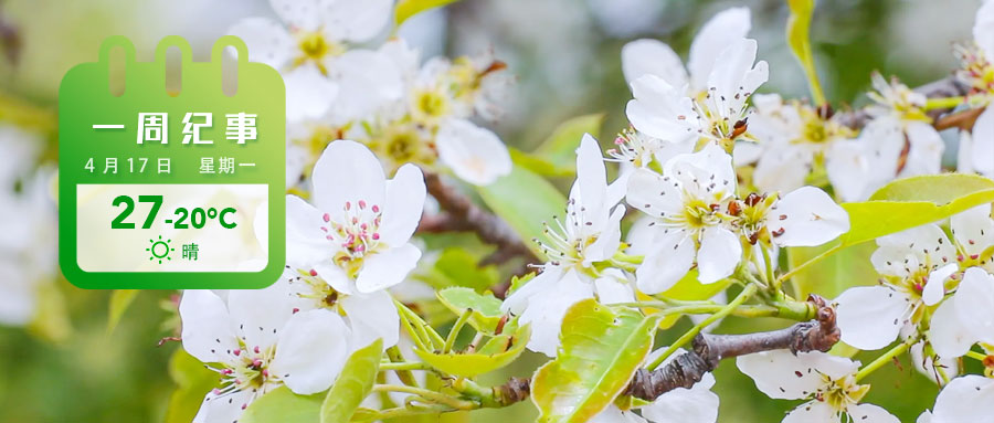 8e47b2882331c5f0545057e1156d84b.jpg 8e47b2882331c5f0545057e1156d84b.jpg