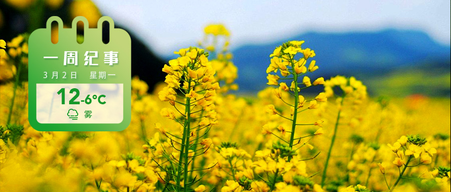 5e6a254826960e15f37e9f887725d111.jpg 5e6a254826960e15f37e9f887725d111.jpg