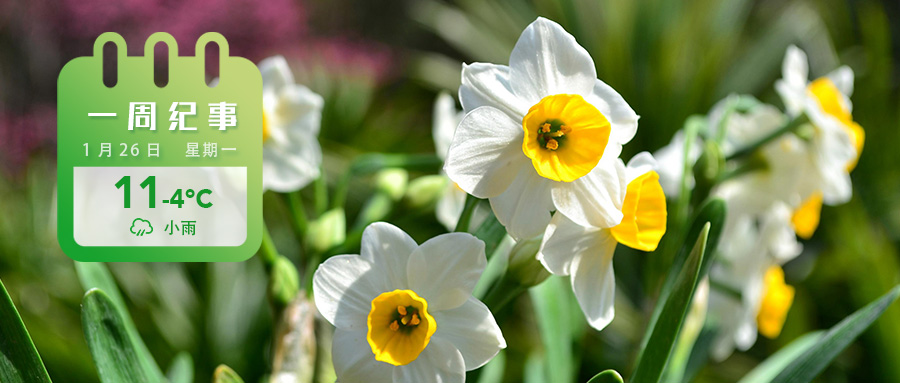 97a7d55a6266688e28e0a594f83dc3aa.jpg 97a7d55a6266688e28e0a594f83dc3aa.jpg