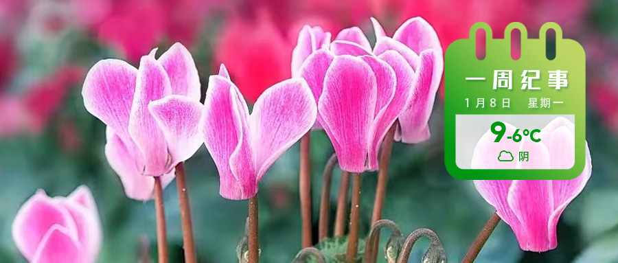 933edc7b291fab8bd3f22fe87e91dd5.jpg 933edc7b291fab8bd3f22fe87e91dd5.jpg