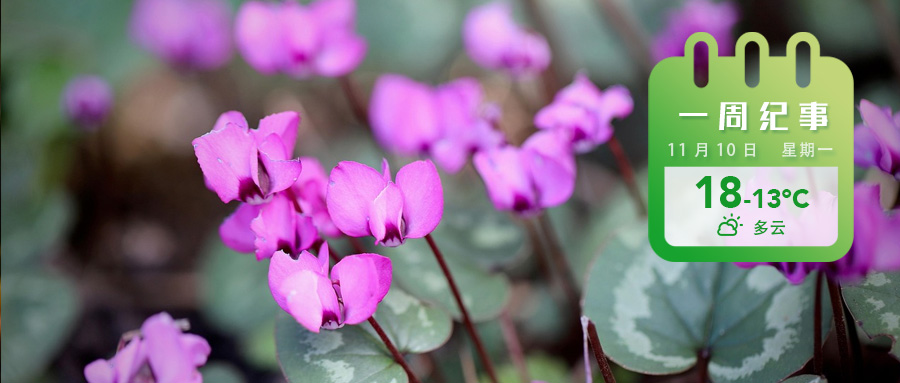 05f448eaae962fc47454b9248d2e7e4e.jpg 05f448eaae962fc47454b9248d2e7e4e.jpg