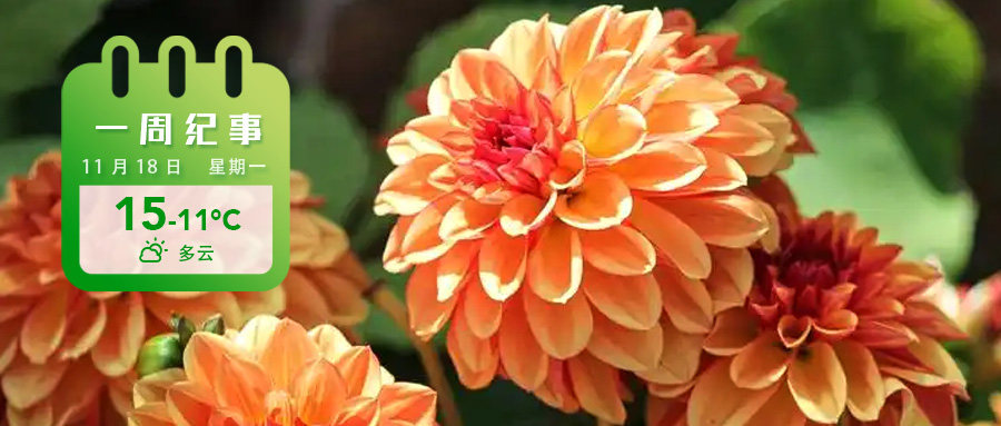 66d4cfbc8fc4728275f056b2e1b2747.jpg