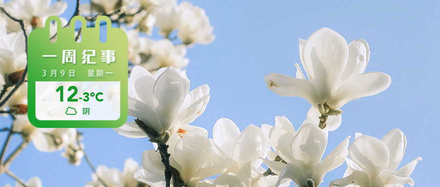 5e50b93532881fd0d50dcf006f2d1628.jpg 5e50b93532881fd0d50dcf006f2d1628.jpg