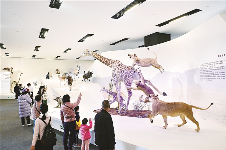 5504ad3a1c370b237c6222a4cb0cc44.png 5504ad3a1c370b237c6222a4cb0cc44.png