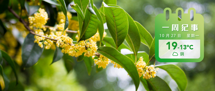 8a0515ce2e1d6ad4c6e056b08cc26b08.jpg 8a0515ce2e1d6ad4c6e056b08cc26b08.jpg