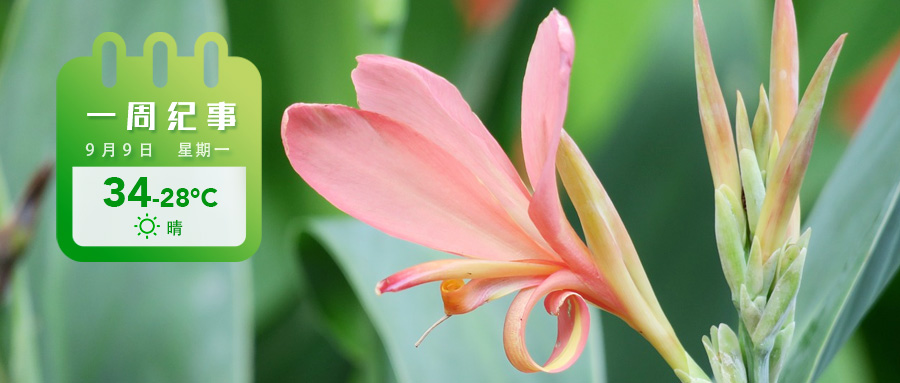 51ce088b5ddae18c5d234f5d79c9c93.jpg 51ce088b5ddae18c5d234f5d79c9c93.jpg