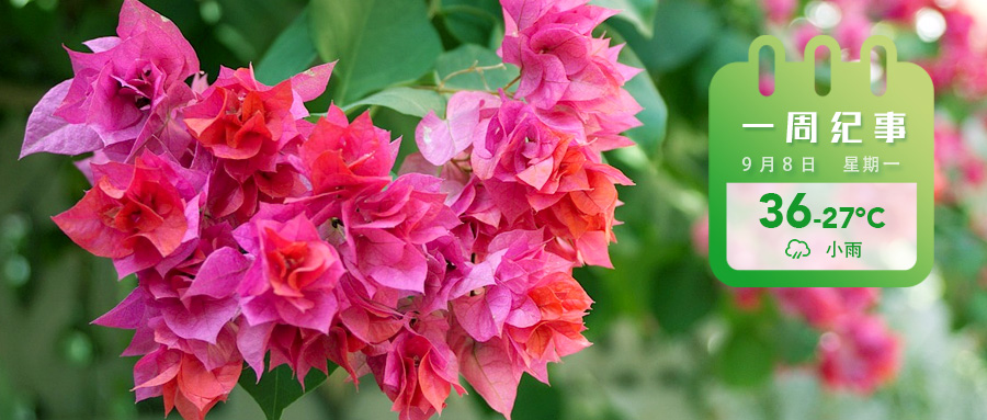 98ef96a4376eac02dacb9e2c5954a77.jpg 98ef96a4376eac02dacb9e2c5954a77.jpg