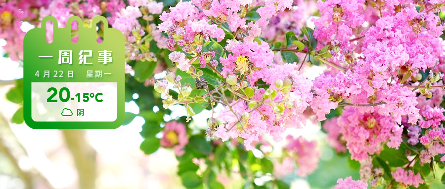 dab4020481c8902d3be87dbb4b58746.jpg dab4020481c8902d3be87dbb4b58746.jpg