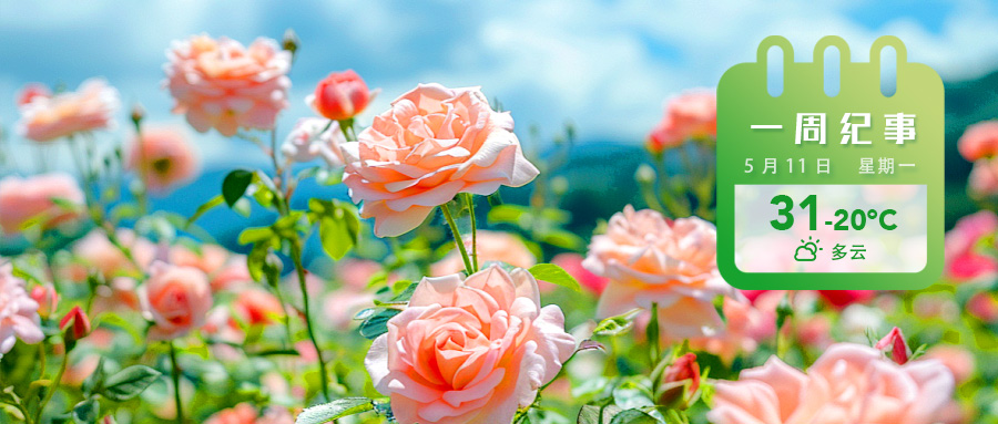 7fb0b0201a143fdc0dffd33e85bd4c17.jpg