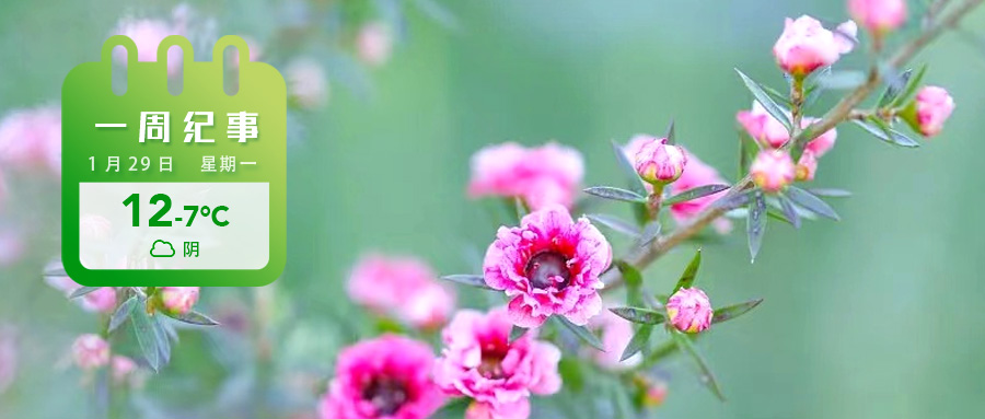 bdb863ffe819ba2d22977f93f9814b0.jpg bdb863ffe819ba2d22977f93f9814b0.jpg