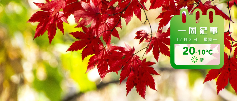 bb3e12b492486e10bff9065f83f1bd5.jpg bb3e12b492486e10bff9065f83f1bd5.jpg