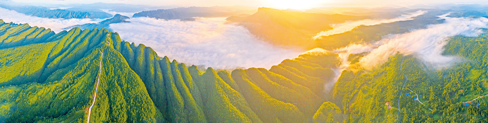 24cc5dfdfff99e82f81b86779303288.png 24cc5dfdfff99e82f81b86779303288.png