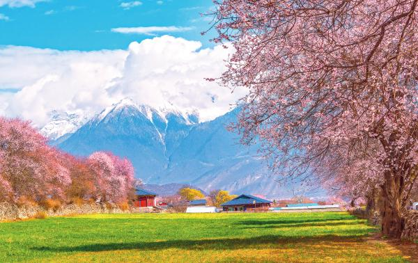 e66d1ebd0fe544a2e5ffa38ce121499.png e66d1ebd0fe544a2e5ffa38ce121499.png