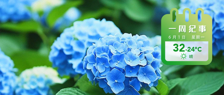 bdb8544c8141a07ad512de7885e3bd2a.jpg bdb8544c8141a07ad512de7885e3bd2a.jpg