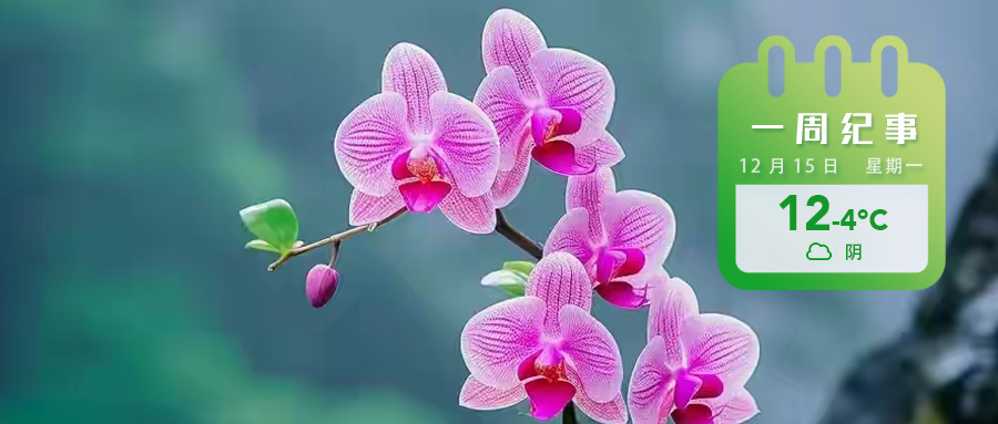 d2f703629b1f89d896ba6bbb49ce214a.jpg d2f703629b1f89d896ba6bbb49ce214a.jpg