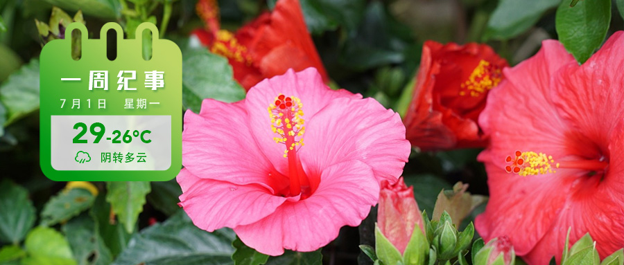 d4b8f8e6c2331da0da248a0e3752bad.jpg d4b8f8e6c2331da0da248a0e3752bad.jpg