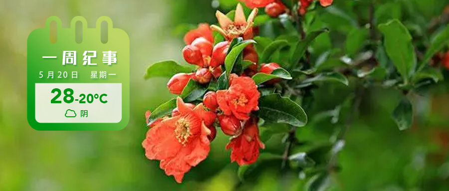 f4567b6aa3a90d06e7442d12e70224d.jpg f4567b6aa3a90d06e7442d12e70224d.jpg