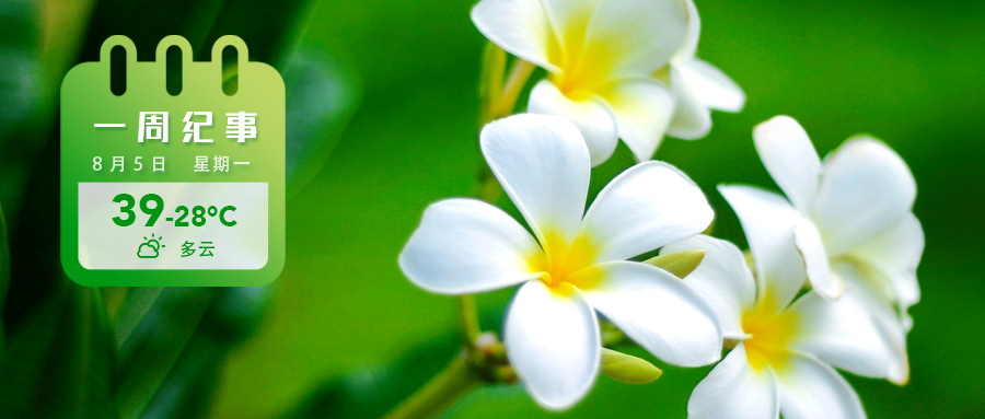 5500f3771e95e5bbc54f4b382c8da62.jpg 5500f3771e95e5bbc54f4b382c8da62.jpg