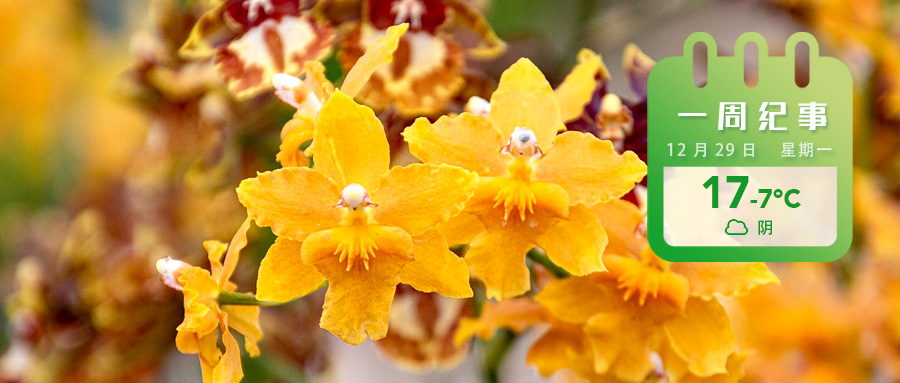 57c36000f353746ee05fba86d9ed33ce.jpg 57c36000f353746ee05fba86d9ed33ce.jpg