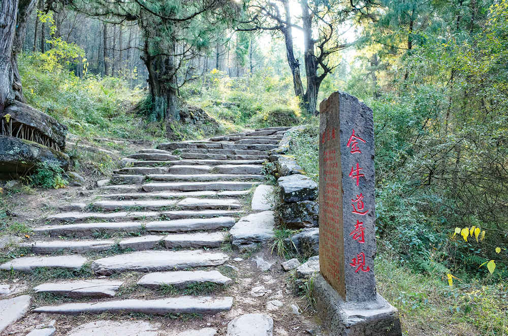 97481126fe92443fab9ddefcaa0d5a2.png 97481126fe92443fab9ddefcaa0d5a2.png